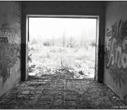 dsc_8689_1