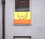 dsc_8365