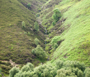 dsc_1064