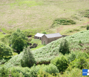 dsc_1084