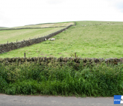 dsc_1168