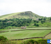dsc_1169