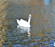 dsc_3203