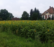 20170728_102337