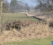 DSC_1729