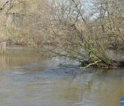 DSC_1771
