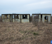 DSC_1981