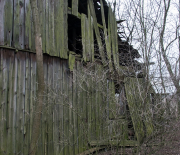 DSC_1999