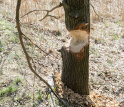 DSC_2055