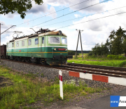 Taczanow003