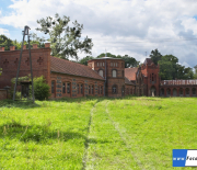 Taczanow017