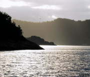 bergen-5